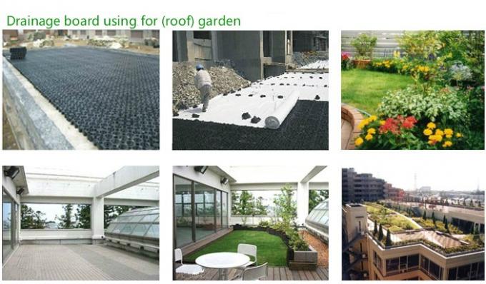Foundation/Basement Construction High Density Polyethylene Dimpled Drain Board Sheet with 0.8mm-2.0mm Thickness 1