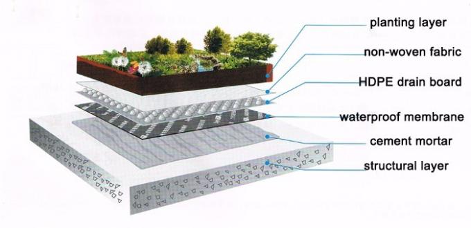 Foundation/Basement Construction High Density Polyethylene Dimpled Drain Board Sheet with 0.8mm-2.0mm Thickness 8