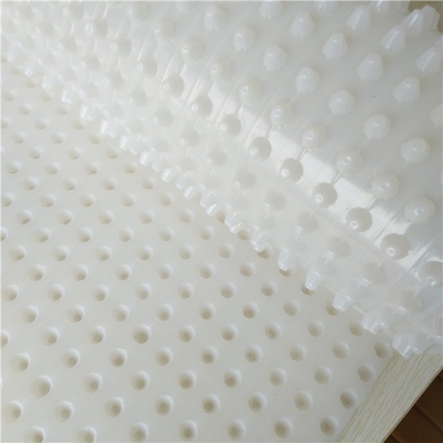 10m/20m/30m HDPE Drainage Dimpled Membrane for Foundation Dampproofing and Wall Waterproofing Long-Lasting Solution 6