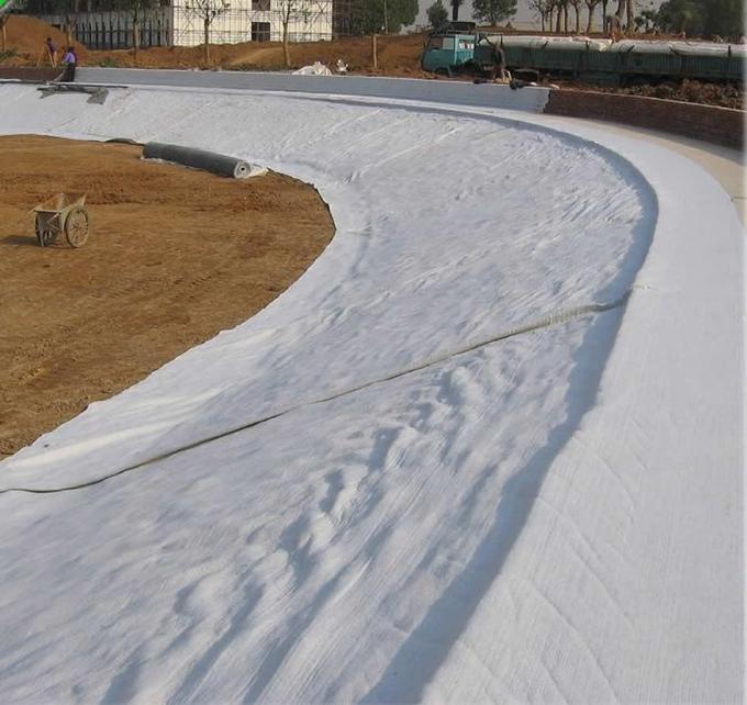 40 Mil 80mil HDPE Geomembrane Liners for Dam / Landfill / Water Pool / Farm Fish Meeting Customer Requirements 9