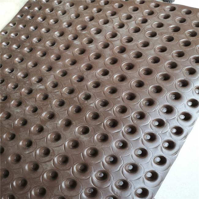 Eco-Friendly HDPE Plastic Green Roof Trays in 10m/20m/30m Length and 1M-3M Width for Performance 6