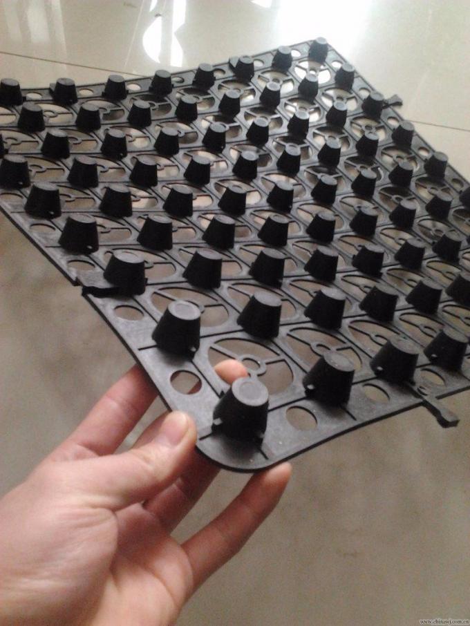 0.6mm Thickness 20mm Dimple Height HDPE Drainage Plastic Waterproof Sheet for Earthwork and Other Products 5