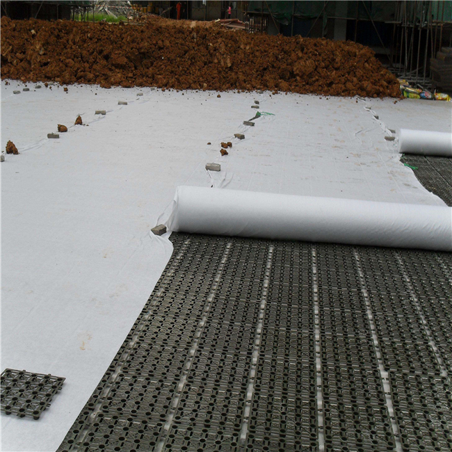 HDPE Plastic Dimple Board for Drainage Tray Green or Customizable Construction Materials 5
