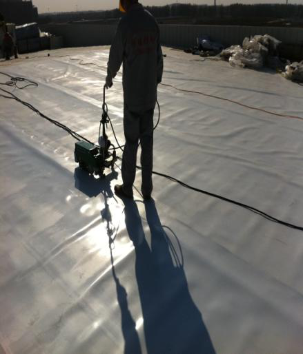 1.5mm 2.0mm TPO Waterproofing Membrane with ISO9001/14001 Certified Products 8