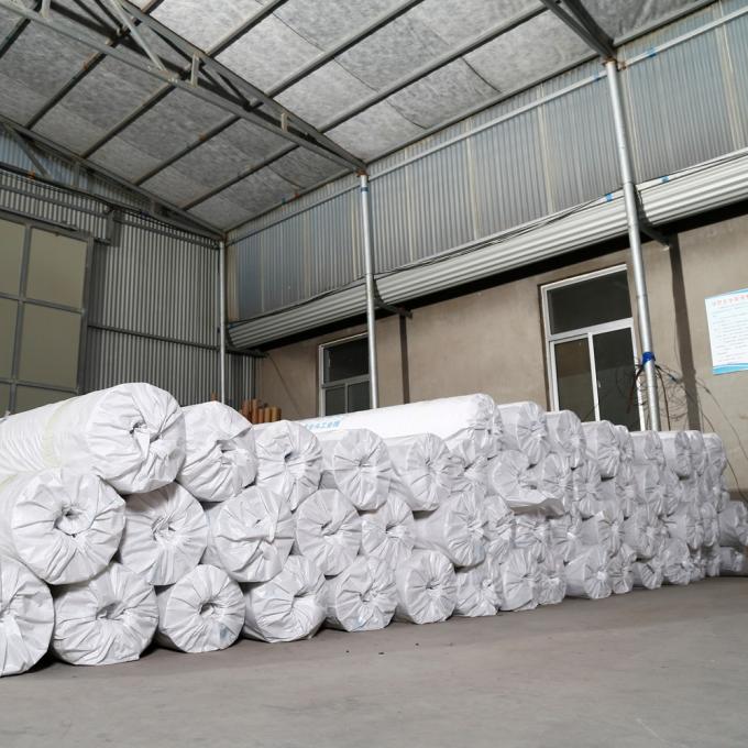 ISO9001/ISO14001 Certified Waterproof Membrane for Customized Wide Flat Roofs TPO Materials 9