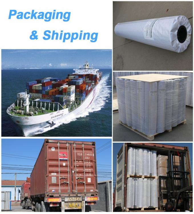 Chinese Design Polyethylene Polypropylene Waterproof Sheet Membrane Roll with 0.4mm-1.5mm Thickness 11