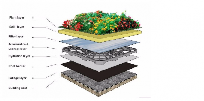 12MM Dimple HDPE Plastic Drainage Board 15m Length Life Time of More Than 50 Years for Roof Garden Parking Water Storage 0