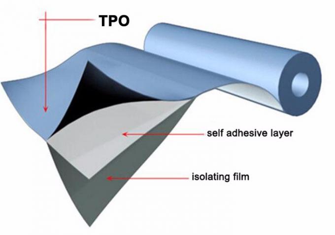 1.0-2.5mm TPO Self Adhesive Waterproofing Membrane for Corrugated Roofs Floor in Office Buildings Width 1.0-3.0m 0