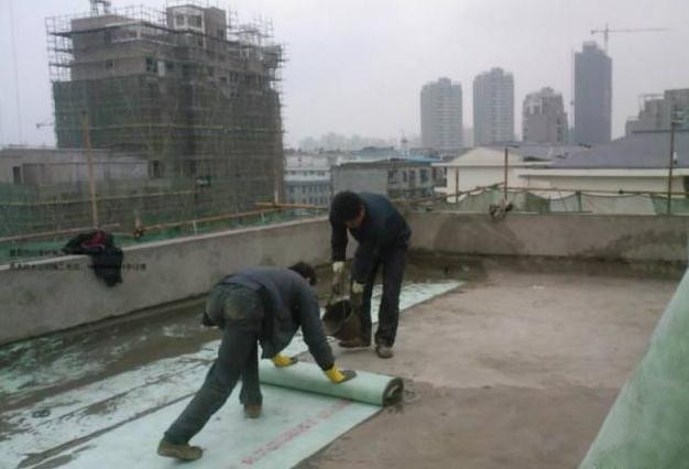 Customized Color Polypropylene Polyethylene Waterproofing Membrane for Hotel Construction Project 6