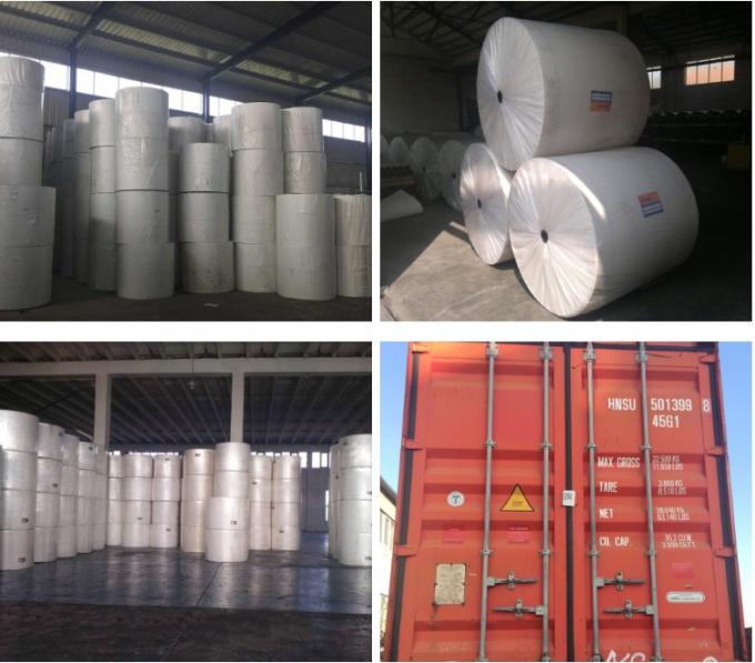 Spunbond Technology Green Composite Mat for Long-Lasting APP/SBS Modified Bitumen Waterproofing Membrane 4