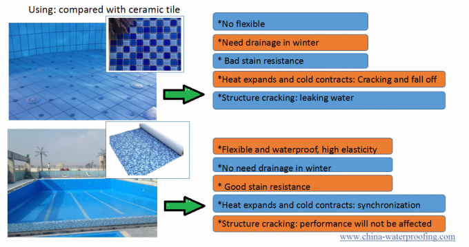 1.2mm 1.5mm 2.0mm Thickness 40ft Shipping Container Style Swimming Pool with Filter and Pump Stainless Steel 4-6 Person 4
