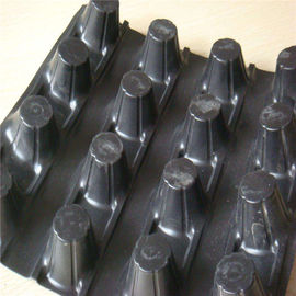 8mm/10mm/12mm height HDPE drain cell drainage board for roof with low price