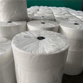 High Quality Cheap 20gsm white /blue pp spunbond nonwoven fabric for masks