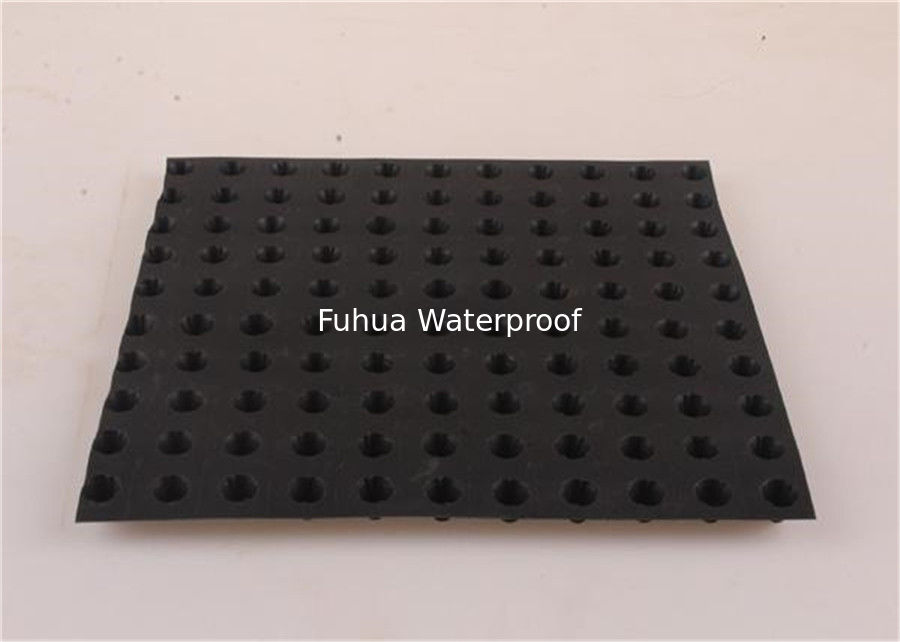 Drainage Cell Drain Cell Drainage Board For Roof Garden or Roof Drainage Dimple Drainage Board