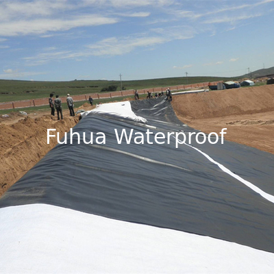 Good price 2.05m Width HDPE Geomembrane Liner M2 ISO9001 Certified and Long-Lasting Material online