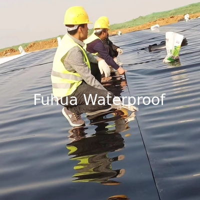 Good price Environmentally-Friendly Black HDPE Geomembrane for Lake Liners Thickness 0.3mm-3.0mm online