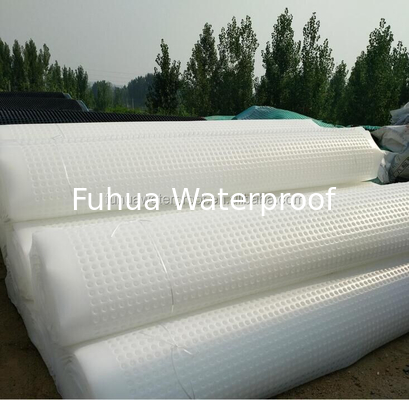 Good price Artificial Water Storage Drainage Board for Hotels and Gardens 2m Width Cell Garden Drain Cell online