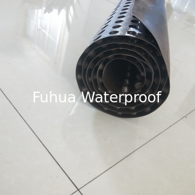 Good price 60mm HDPE PP Plastic Dimple Drainage Mat for Green Roof Water Storage Length 20m Long-Lasting and Dependable Solution online